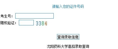 2013年沈陽藥科大學(xué)高考錄取查詢系統(tǒng)