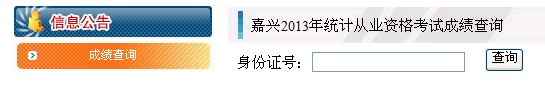 2013年浙江嘉興統(tǒng)計(jì)從業(yè)資格考試成績(jī)查詢?nèi)肟?hspace=0